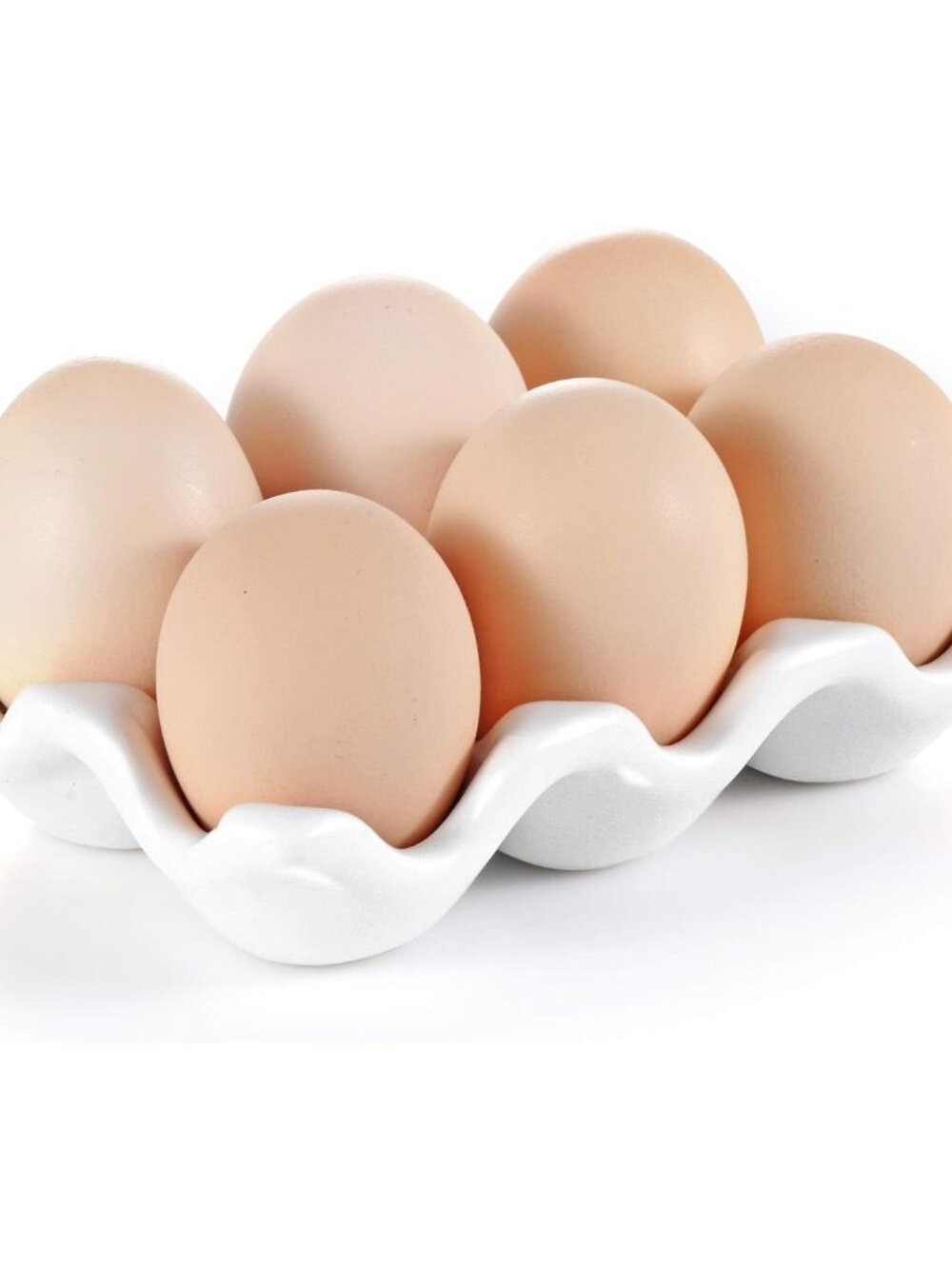 Cup Egg Tray Holder White